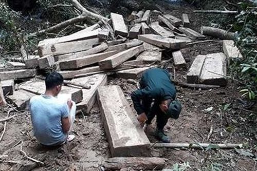 Liên tiếp phát hiện 2 vụ phá rừng tại Kon Tum
