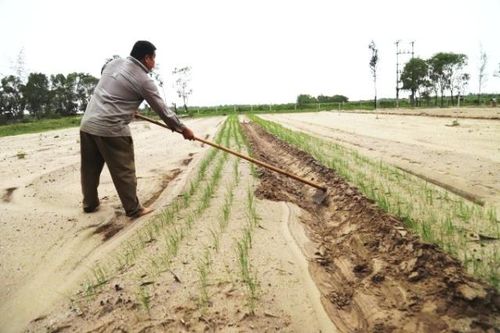 Tái thiết sản xuất cho đồng bào vùng lũ