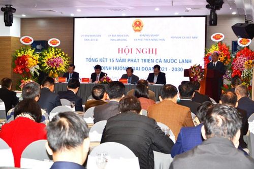 Nâng cao hiệu quả nuôi cá nước lạnh ở Việt Nam