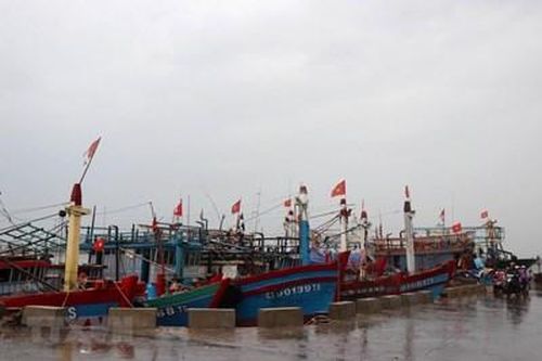 Các địa phương chủ động ứng phó với áp thấp nhiệt đới có khả năng mạnh lên thành bão