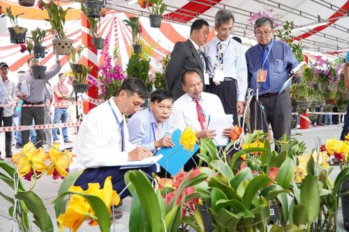 Hơn 800 nghệ nhân dự hội thi hoa phong lan toàn quốc