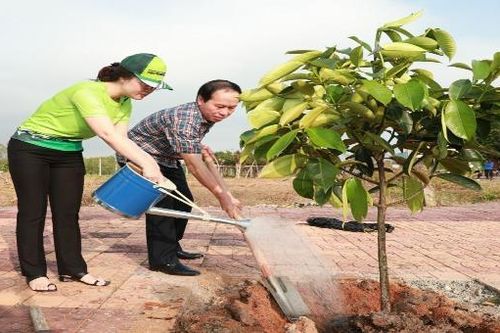 Giải Mekong Delta Marathon Hậu Giang 2020: Trồng hơn 7.000 cây xanh chống biến đổi khí hậu