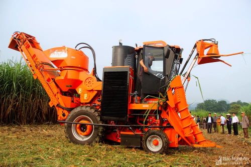 Công ty CP Mía đường Sông Con tăng cường máy thu hoạch mía