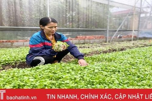 Đón đầu thị trường, nông dân ven đô Hà Tĩnh 'bội thu' sau lũ