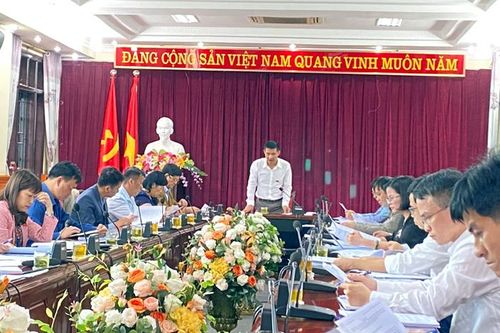 Họp thẩm tra dự thảo nghị quyết trình tại kỳ họp thứ 15 HĐND tỉnh