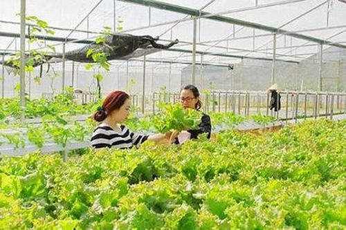 Khuyến khích chuyển đổi công nghệ mới, công nghệ sạch thân thiện môi trường