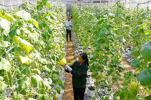 Thái Nguyên có hơn 75% số xã đạt chuẩn nông thôn mới