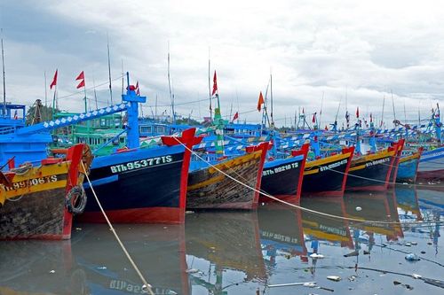 Bình Thuận chủ động triển khai các biện pháp ứng phó bão số 12