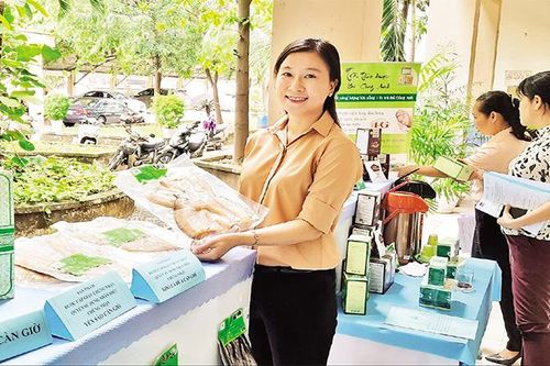 Hỗ trợ hợp tác xã nông nghiệp phát triển