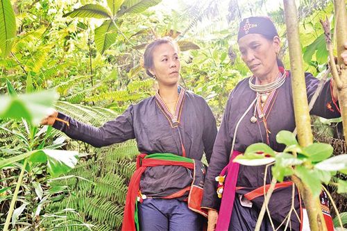 Bảo tồn và phát huy di sản văn hóa phi vật thể