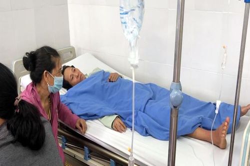 Quảng Ngãi lo lắng khi người dân liên tiếp nhập viện do rắn lục đuôi đỏ cắn
