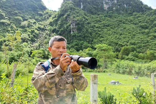 Người hùng của quần thể voọc quý hiếm
