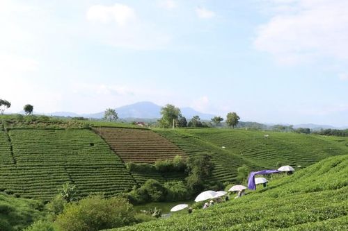 Đại Từ -Thái Nguyên: Nỗ lực hoàn thành mục tiêu quốc gia xây dựng NTM