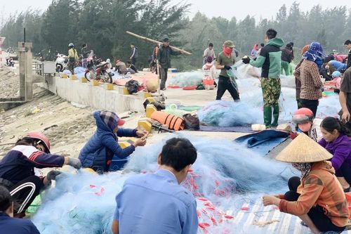 Ngư dân Hà Tĩnh hồ hởi ra khơi vớt 'lộc trời' sau bão lũ