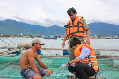 Khánh Hòa chạy đua ứng phó trước giờ 'cuồng phong' số 12 đổ bộ