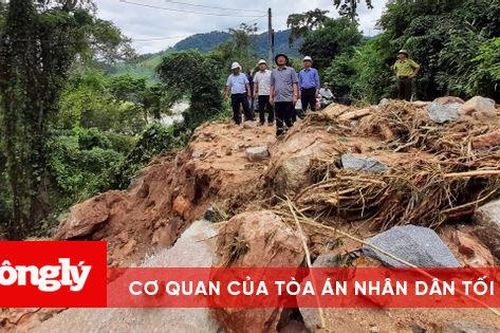 Bình Định: Hoãn các cuộc họp không quan trọng tập trung ứng phó bão số 12