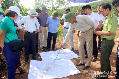 Khu lâm nghiệp ứng dụng công nghệ cao vùng Bắc Trung Bộ tại tỉnh Nghệ An đã có nhà đầu tư tiềm năng