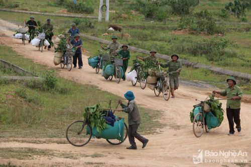 Nghệ An lên kế hoạch diễn tập khu vực phòng thủ tỉnh năm 2021