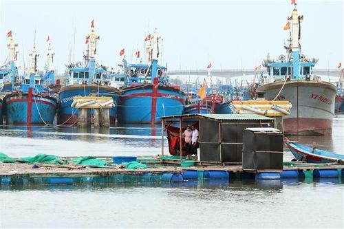 Khánh Hòa, Phú Yên sơ tán dân, Ninh Thuận cấm tàu thuyền ra khơi