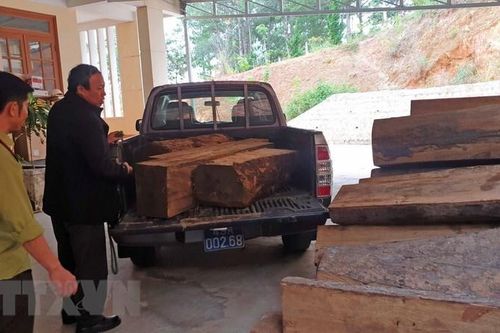 Lâm Đồng: Truy đuổi xe chở gỗ lậu trên đường Trường Sơn Đông