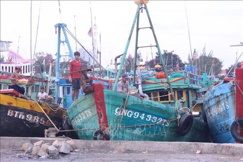 Bình Thuận rà soát, hướng dẫn tàu thuyền về nơi tránh trú bão an toàn