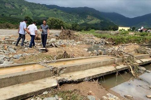 Bình Định sẵn sàng di dời gần 4.300 nhân khẩu