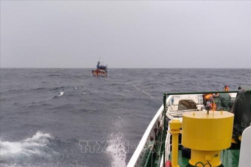 Tàu kiểm ngư cứu hộ kịp thời tàu cá BĐ 91388 TS với 13 ngư dân Bình Định