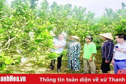 Bài cuối: Cải cách tổ chức bộ máy hành chính - nhiều kết quả nổi bật