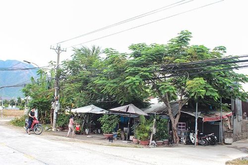 Vụ khiếu nại đất đai ở xã Vĩnh Trung: Đất thuộc xã quản lý