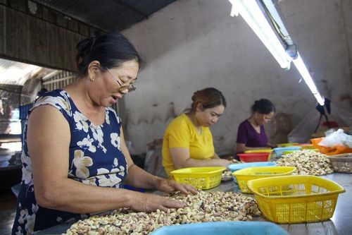 Đồng bào Công giáo Cát Tiên sống tốt đời, đẹp đạo