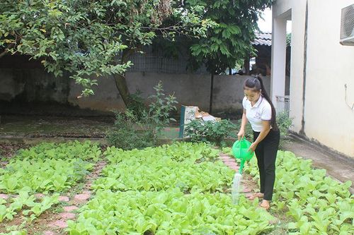 Đảm bảo an toàn thực phẩm trong trường học
