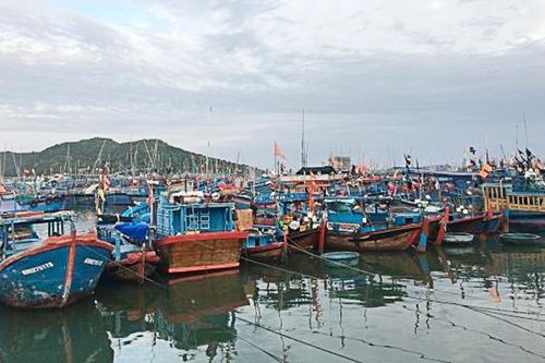 Khánh Hòa: Tập trung ứng phó với bão số 12