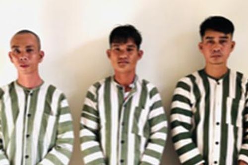 Quyết liệt đấu tranh với tội phạm xuất nhập cảnh trái phép
