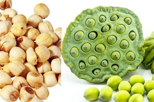 Bài thuốc trị hồi hộp mất ngủ do tâm can huyết hư
