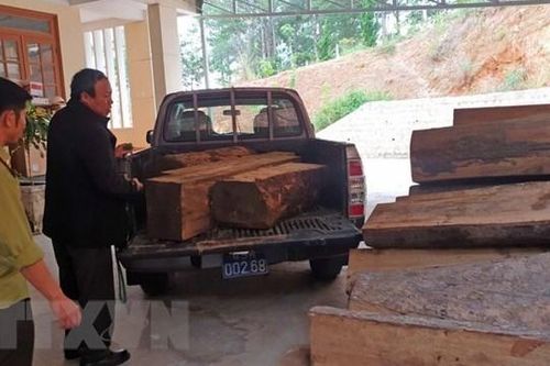 Lâm Đồng: Phát hiện xe chở gỗ lậu