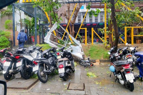 Cây gãy đổ la liệt khi bão số 12 quét qua Nha Trang