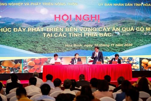 Phát triển bền vững cây ăn quả có múi tại các tỉnh phía bắc