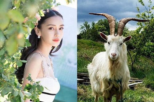Dự đoán ngày 11/11/2020 cho 12 con giáp: Ngày may mắn của nhiều người
