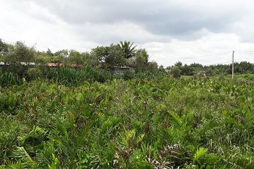 TP Hồ Chí Minh công khai 108 dự án bị hủy bỏ, điều chỉnh