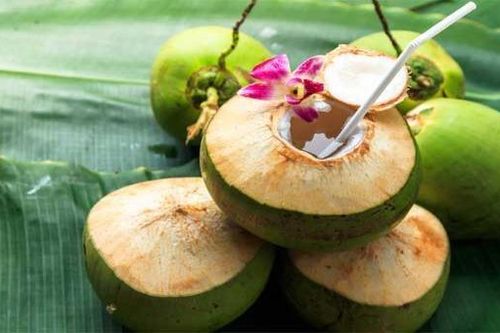 Áp dụng mô hình kinh tế tuần hoàn để tránh những hệ lụy trong quá trình phát triển