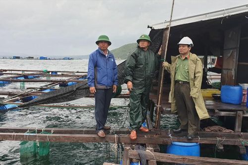 Đưa ngư dân trên lồng bè vào bờ tránh bão