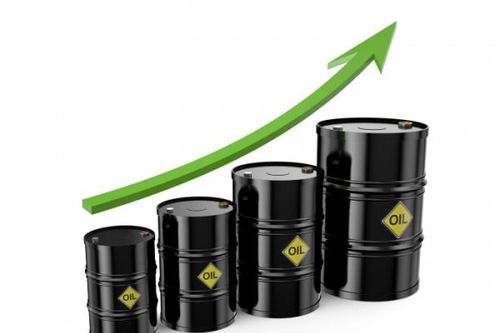 Giá xăng dầu hôm nay 10/11: Dầu Brent lên ngưỡng 42 USD