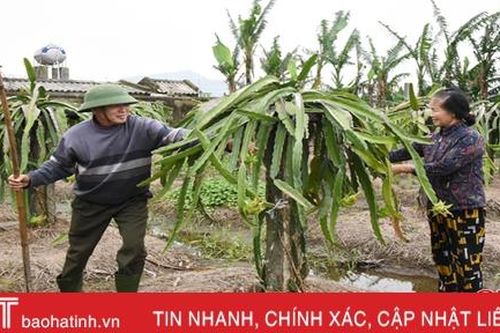 Người dân Lộc Hà ra quân khôi phục các vườn mẫu, không để 'rớt chuẩn' NTM!