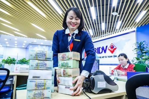 Tiền thừa ngân hàng đổ vào trái phiếu?
