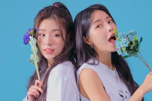 Wheein và Solar (Mamamoo) từng ngất vì uống thuốc giảm cân