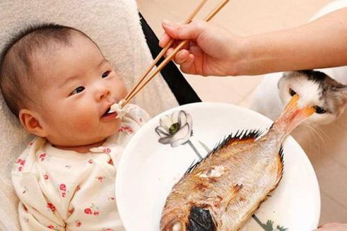 4 loại cá trẻ càng ăn càng tăng IQ, 5 loại ăn vào dễ hỏng não lại độc chết người