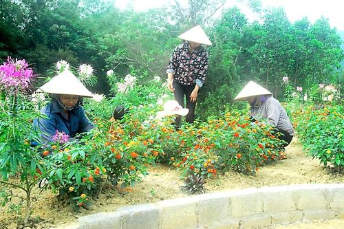 Kinh nghiệm thực hiện tốt tiêu chí môi trường trong xây dựng nông thôn mới