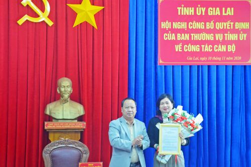 Đồng chí Phạm Thị Tố Hải giữ chức Bí thư Đảng ủy Khối các Cơ quan và Doanh nghiệp tỉnh Gia Lai