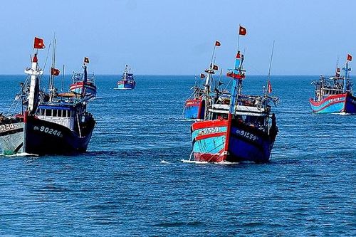 Đẩy nhanh cấp giấy chứng nhận an toàn thực phẩm cho tàu cá