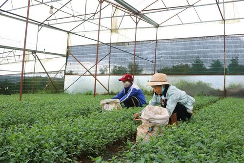 Bước chuyển mình trong sản xuất